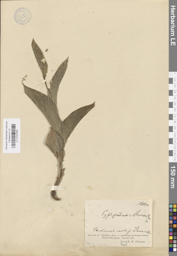 LE 01027662