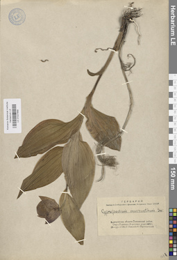 LE 01027668