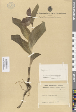LE 01027683