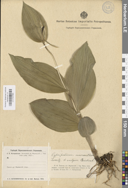 LE 01027684