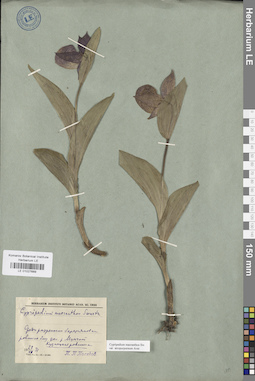 LE 01027689