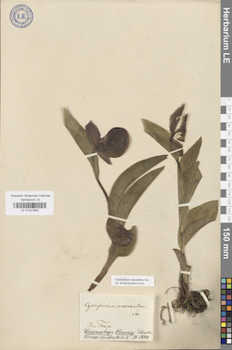 LE 01027692