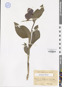 LE 01027694