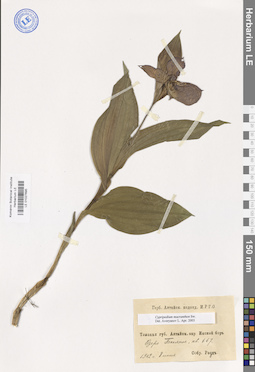 LE 01027695