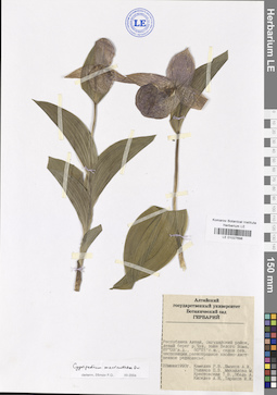 LE 01027698