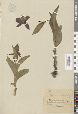 LE 01027701