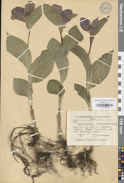 LE 01027705