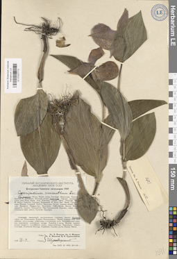 LE 01027713