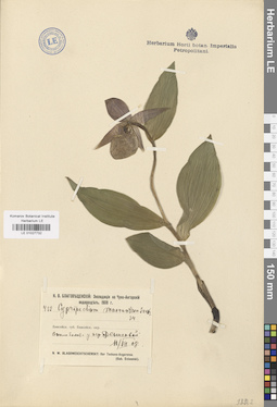 LE 01027732