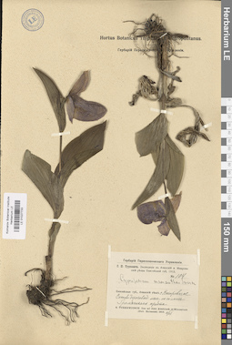 LE 01027733