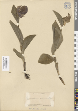 LE 01027740