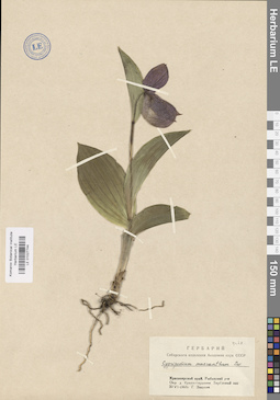 LE 01027744