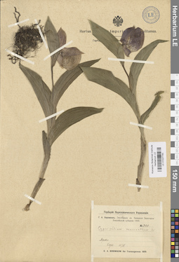 LE 01027745