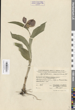 LE 01027747