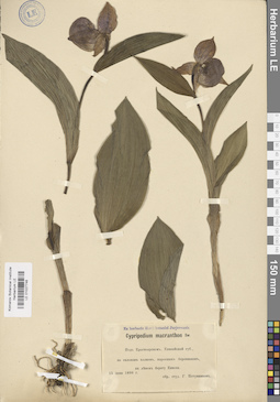 LE 01027748