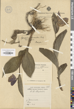 LE 01027749