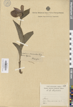 LE 01027750