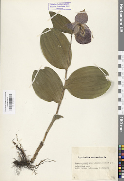 LE 01027753