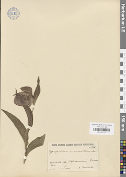 LE 01027757