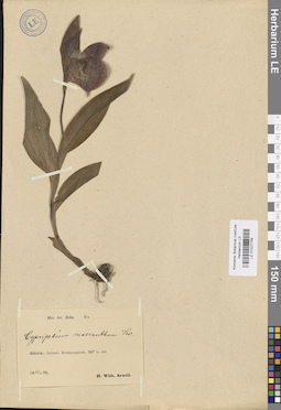 LE 01027758