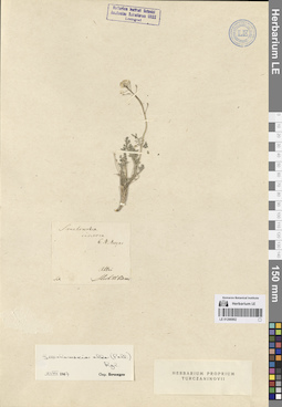 LE 01266902