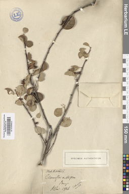 LE 01009611