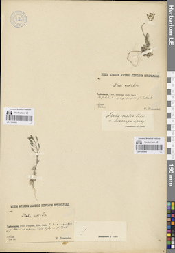 LE 01266829