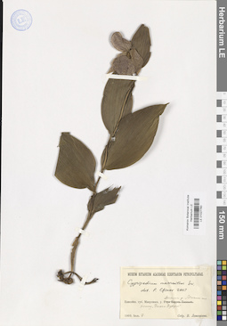 LE 01027760