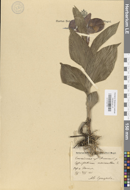 LE 01027761