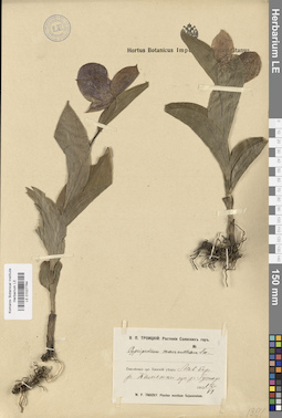 LE 01027764