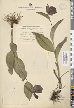 LE 01027768