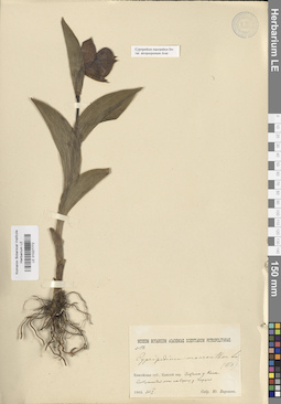 LE 01027772