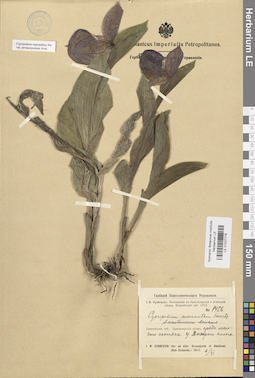LE 01027776