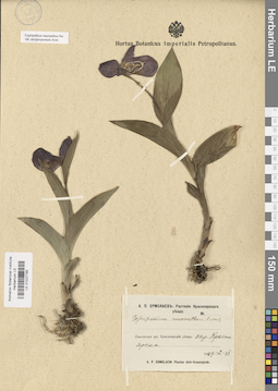 LE 01027785