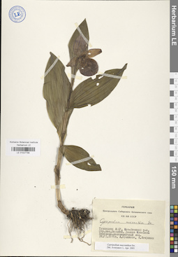 LE 01027795
