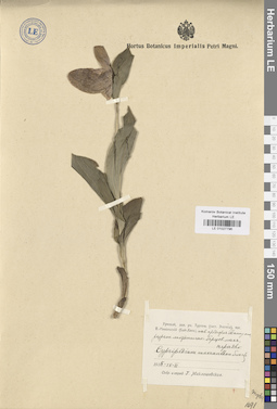 LE 01027796
