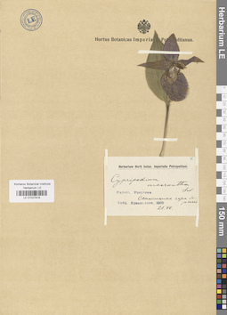 LE 01027818