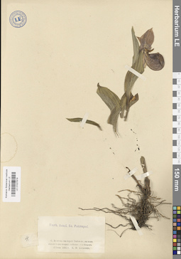 LE 01027819
