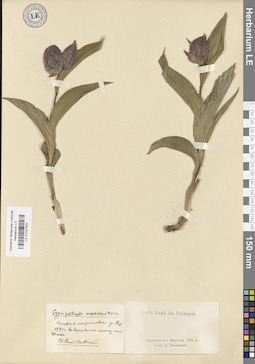 LE 01027820