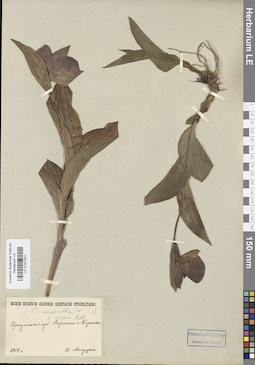 LE 01027821