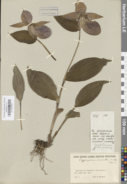 LE 01027822