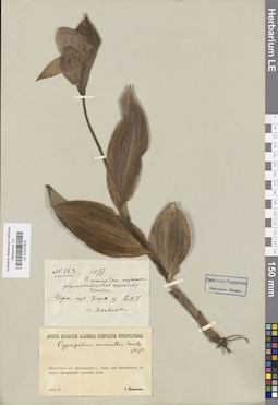 LE 01027823