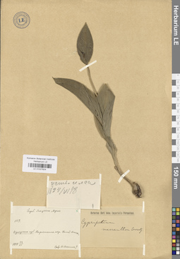 LE 01027824