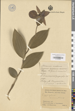 LE 01027825