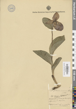 LE 01027826