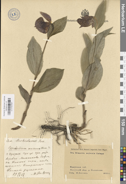 LE 01027827
