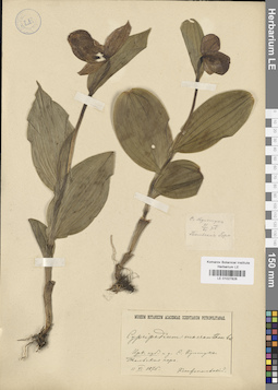 LE 01027828