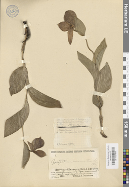 LE 01027838