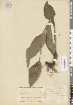 LE 01027839