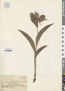 LE 01027849